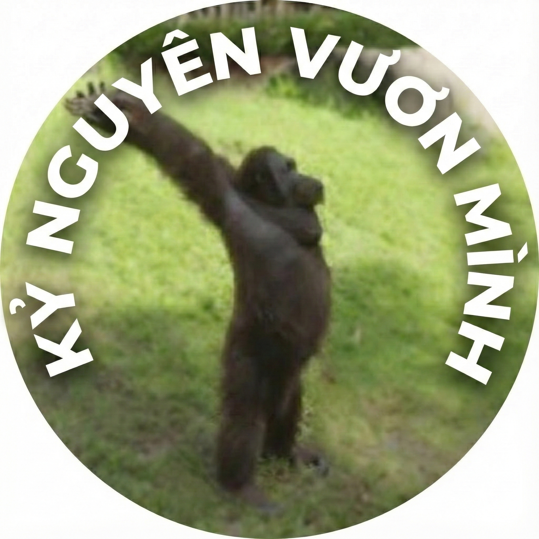Developer